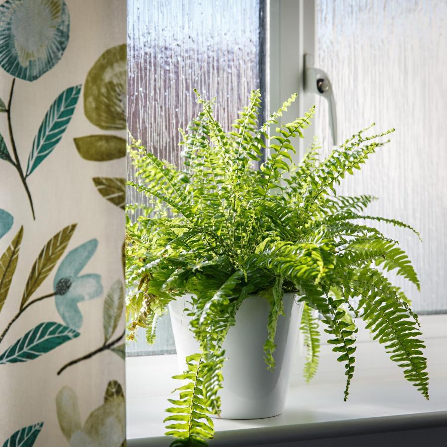 Chestnut Cottage Felbrigg المظهر الخارجي الصورة